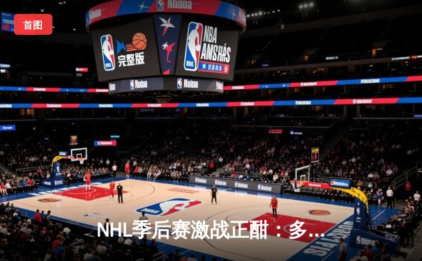 NHL季后赛激战正酣：多伦多枫叶队加时绝杀波士顿棕熊，系列赛扳平比分
