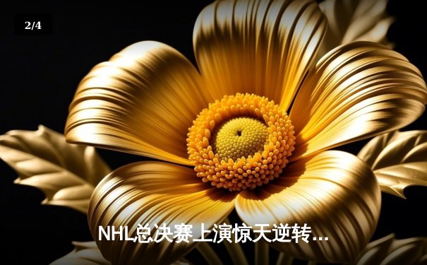 NHL总决赛上演惊天逆转，枫叶队加时绝杀卫冕冠军 - 2