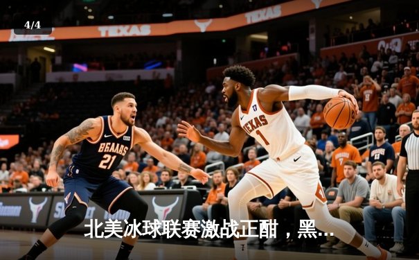 北美冰球联赛激战正酣，黑马球队上演惊天逆转晋级季后赛 - 4