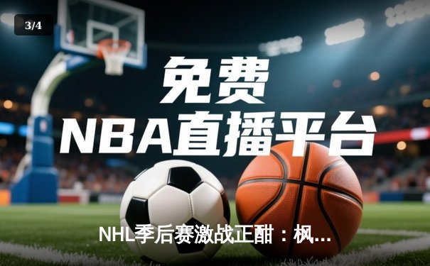 NHL季后赛激战正酣：枫叶队加时绝杀棕熊，系列赛战成2-2平 - 3