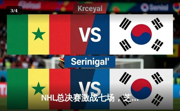 NHL总决赛激战七场，芝加哥黑鹰加时绝杀卫冕成功 - 3